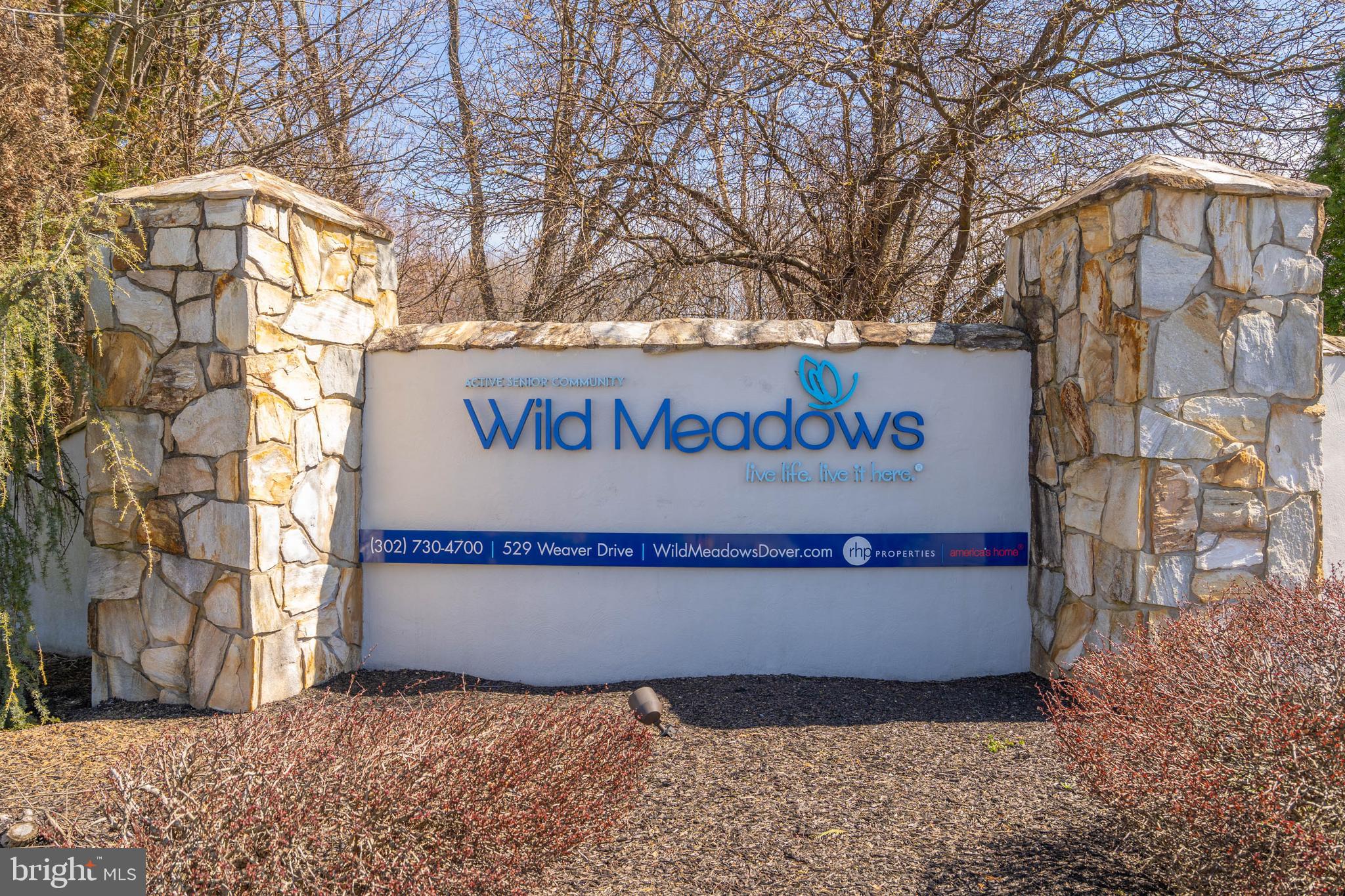 WILD MEADOWS - Residential