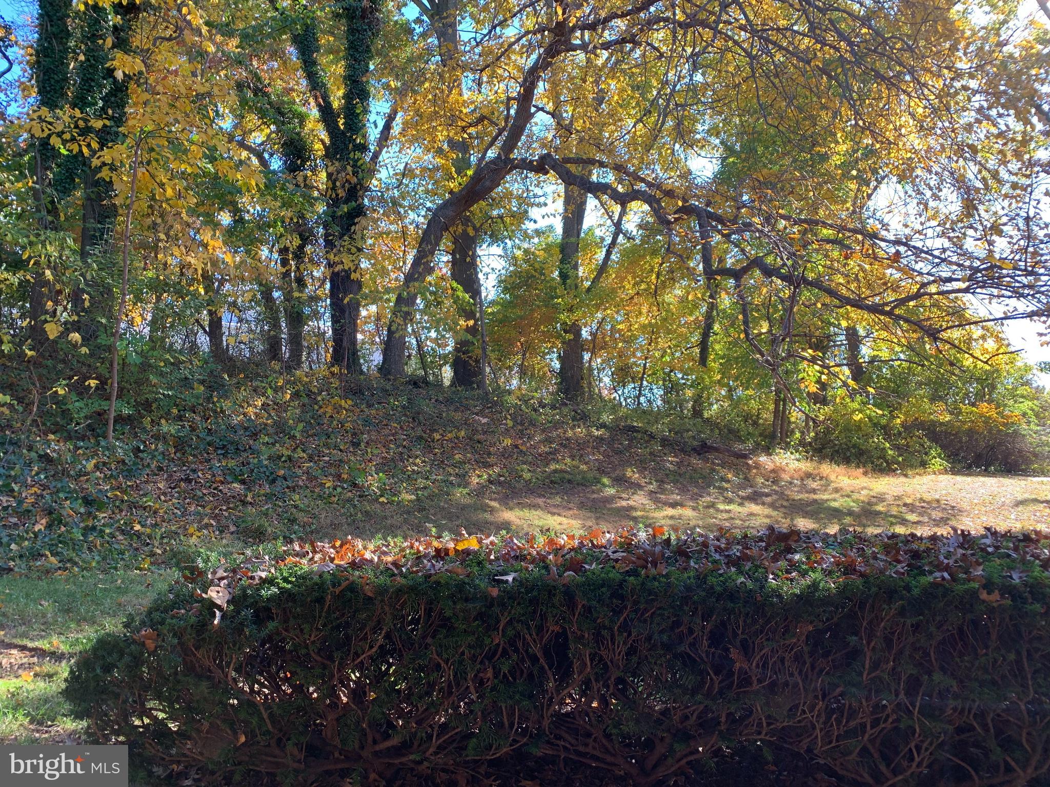 CAMELBACK VILLAGE - Residential