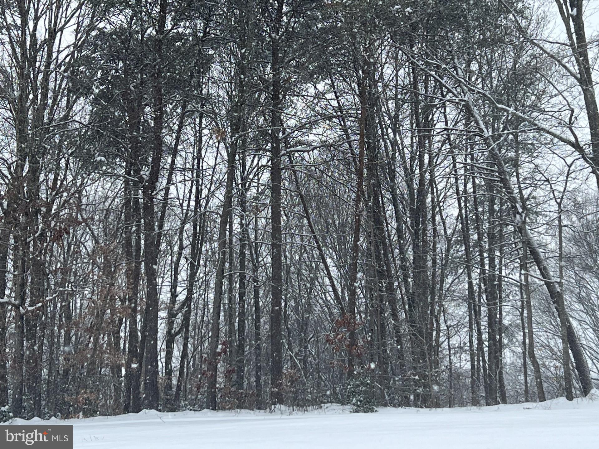 SKYLAND ESTATES - Land