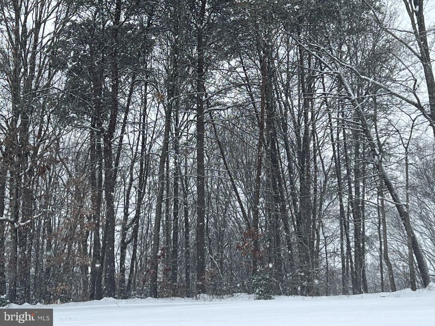 This property has never been perked. Great location, easy access. Part of an estate. This property is being sold under VAWR2009154  Tax ID 23A-319-19-20-21-23