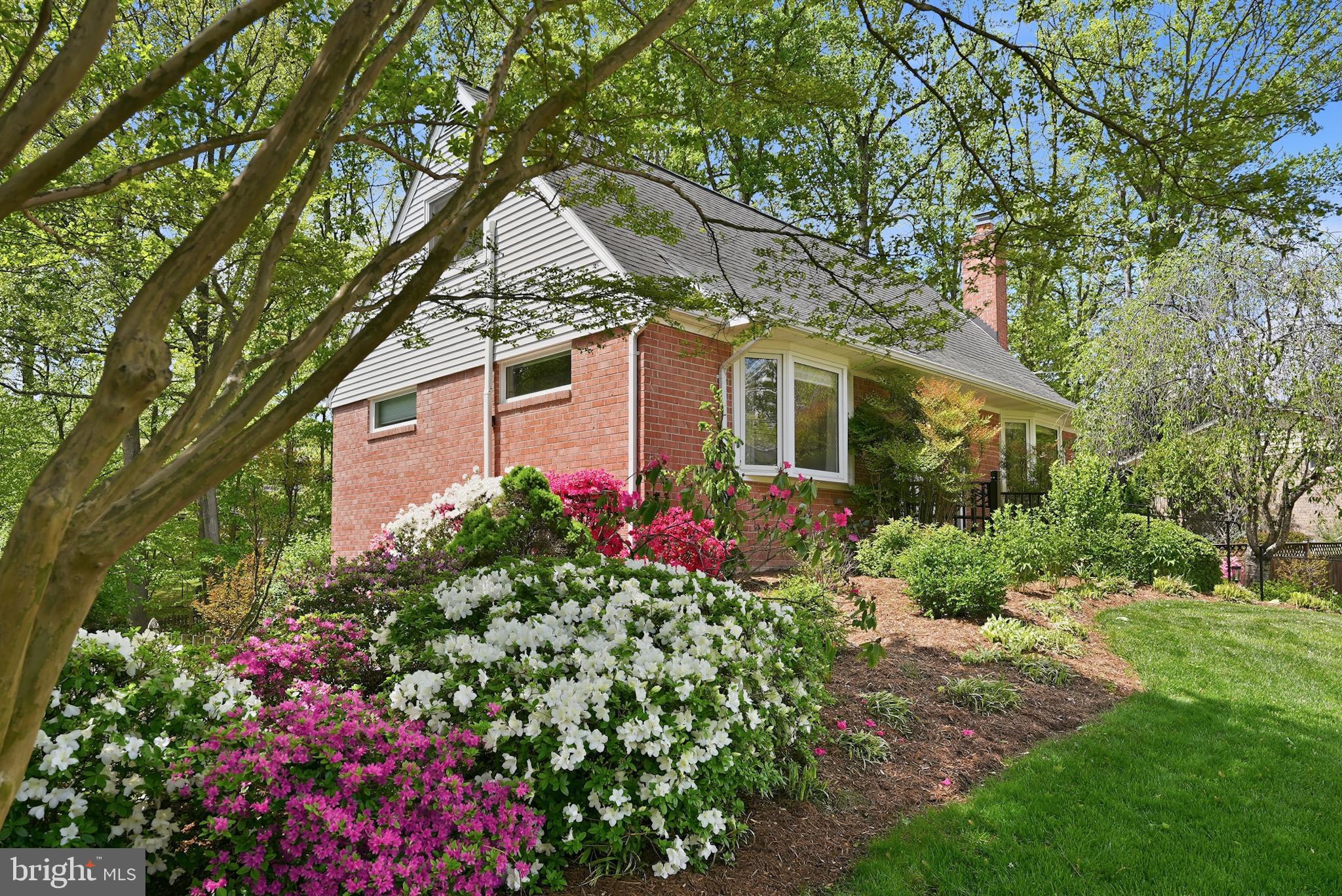 WEST SPRINGFIELD VILLAGE - Residential