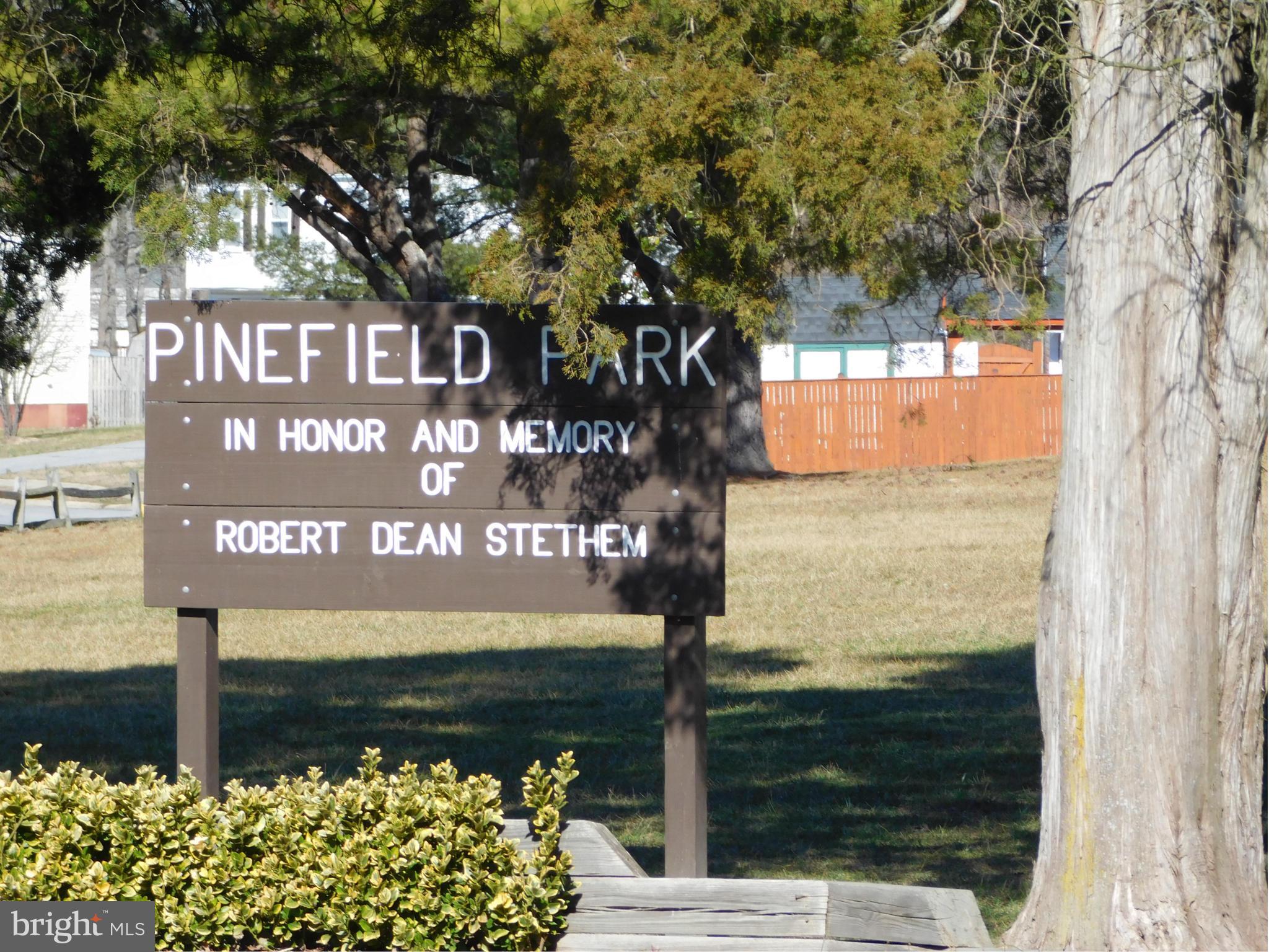 PINEFIELD - Residential