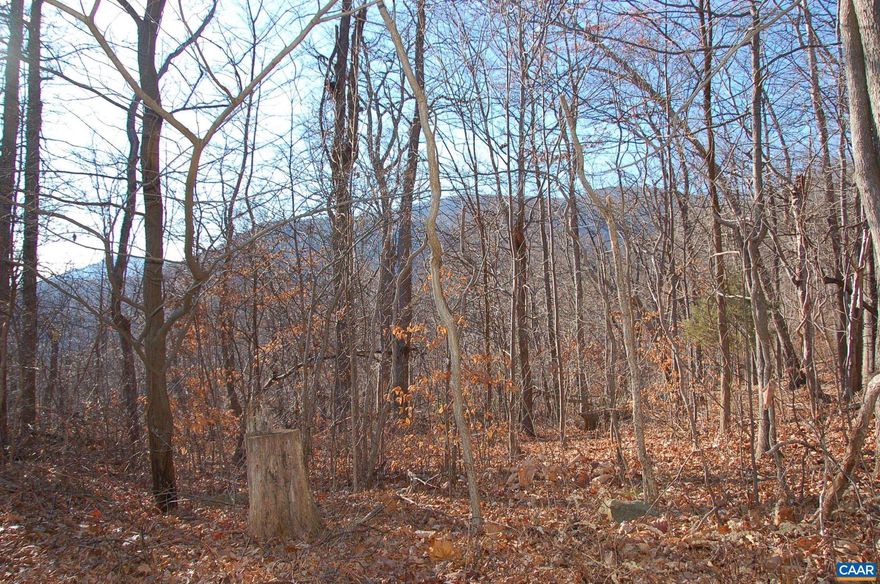 Looking for privacy and to join with nature, you "must see" this large elevated 3.5 acre lot located on a very secluded cul-de-sac with potential distant mountain views, based on home siting. This property is ideal for full-time residents or as a second home for the year-round enjoyment with the family. Located in the Stoney Creek section of Wintergreen with easy access and a short drive to shopping and medical facilities in both Charlottesville and Waynesboro. Don't miss this one.