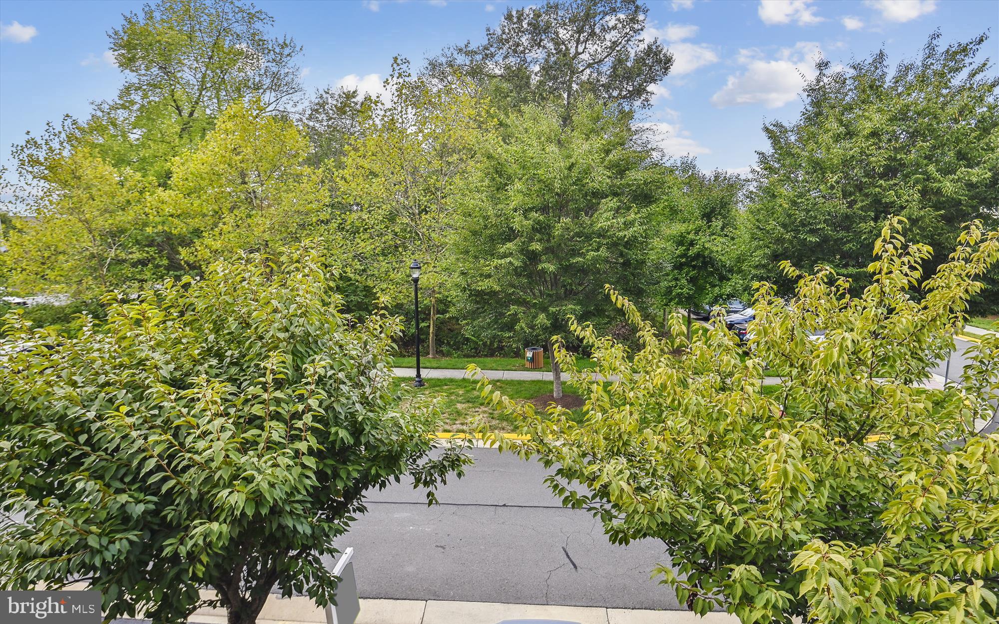 BRAMBLETON TOWN CENTER - Residential