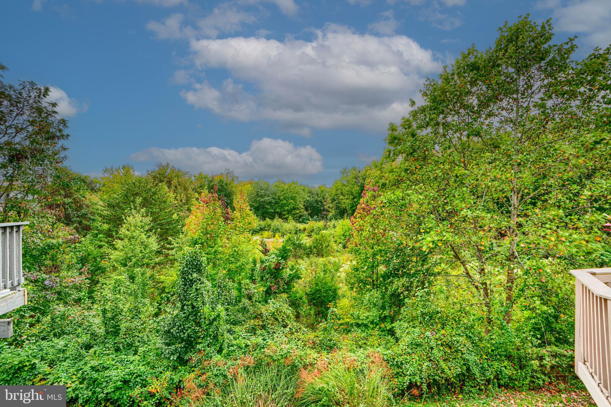 PERRY HALL FARMS - Residential