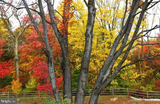 WILLINGHOUSE PRESERV - Residential