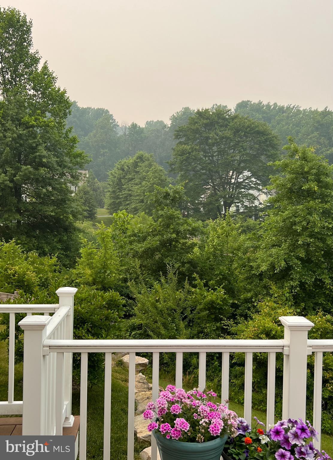 WILLINGHOUSE PRESERV - Residential