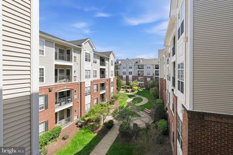 4850 EISENHOWER AVENUE 316 ALEXANDRIA VA 22304