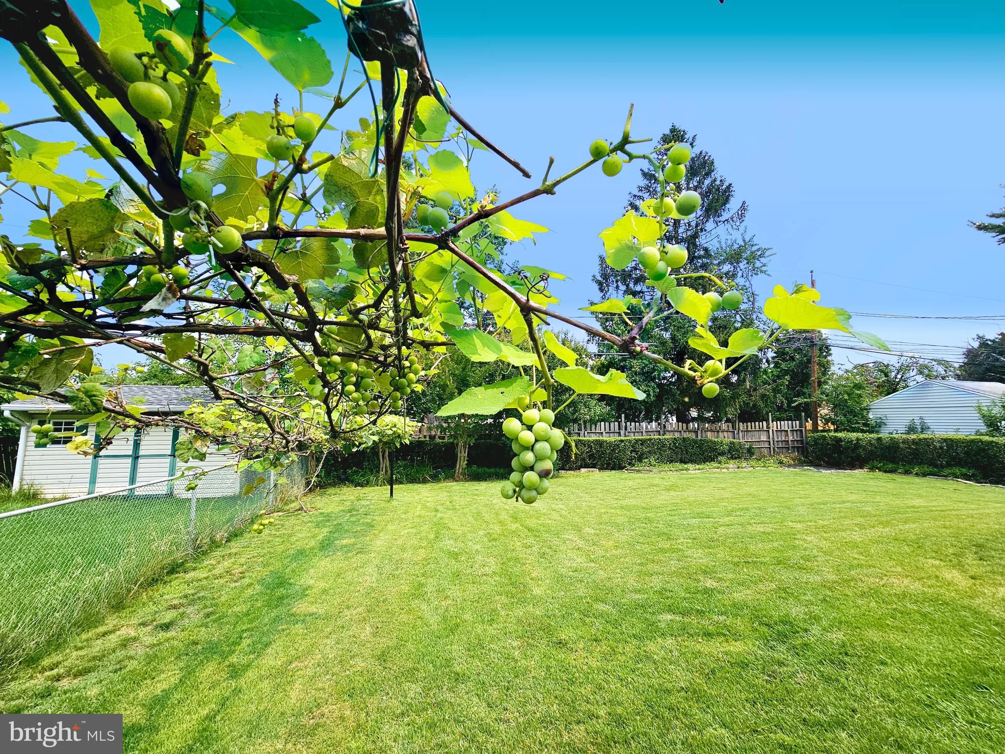 WESTVIEW PARK - Residential