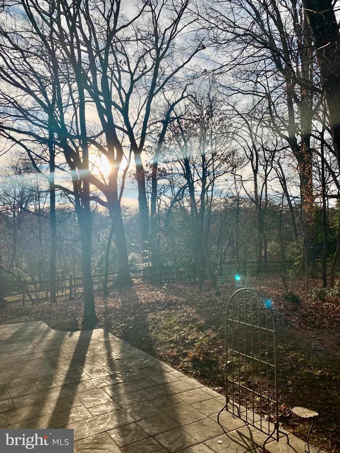 ROCKVILLE HEIGHTS - Residential