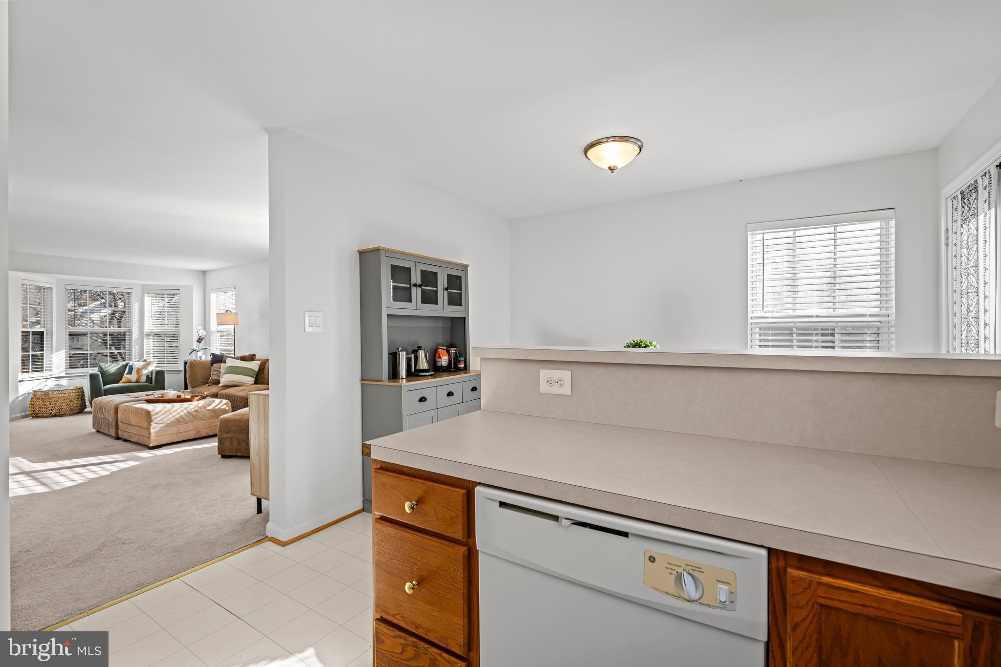 MAIN ST VILLAGE - Residential