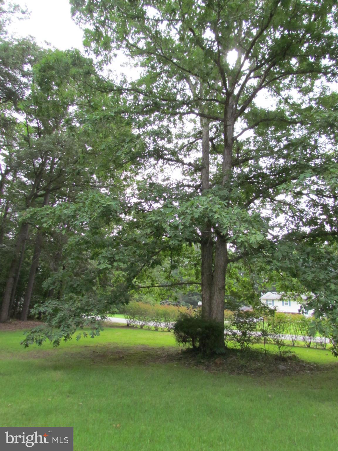 MAPLE RUN - Residential