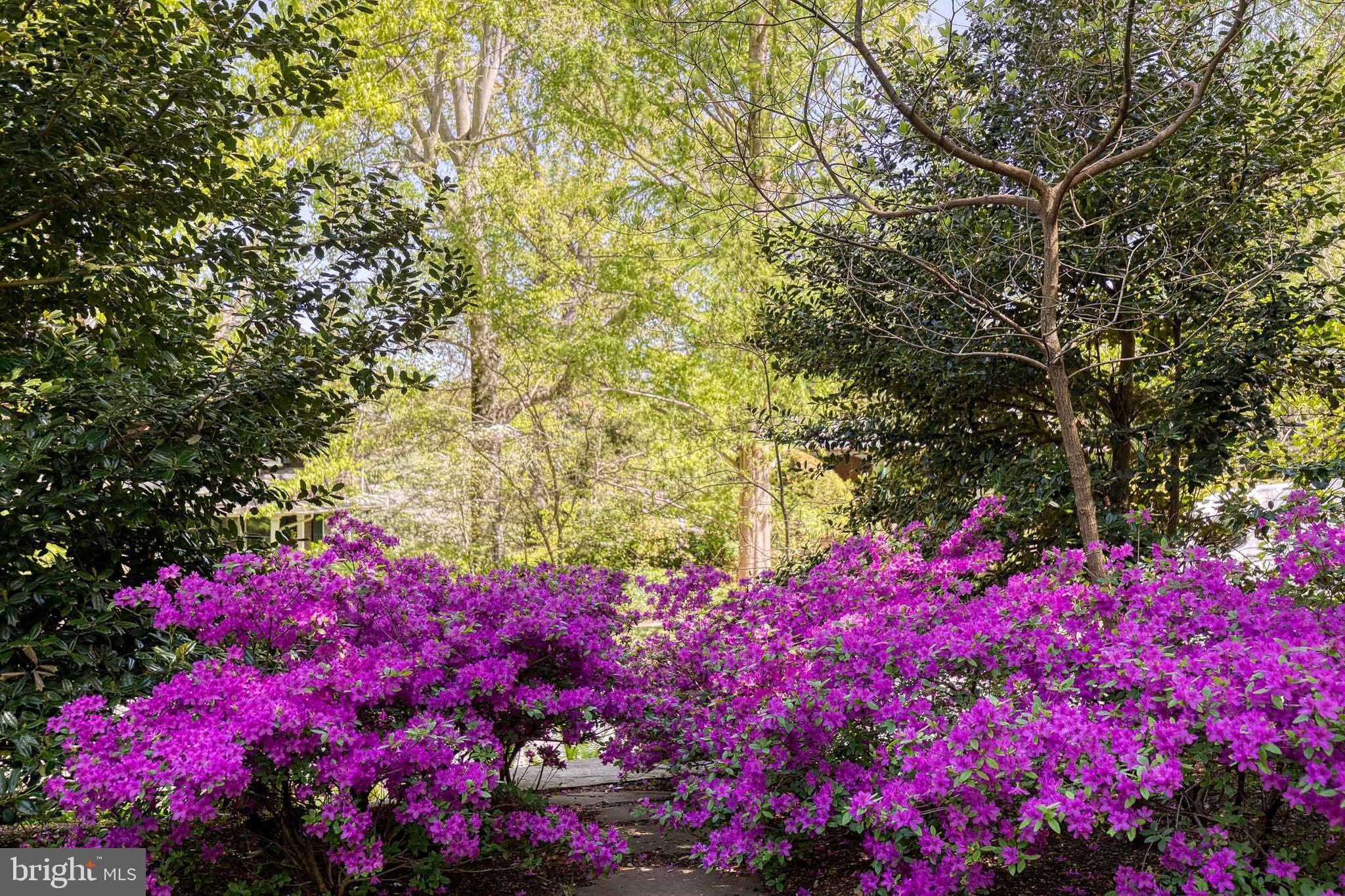 ROLAND PARK - Residential