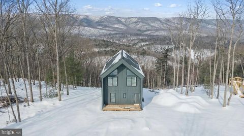 4039 SUPINLICK RIDGE RD MOUNT JACKSON VA 22842