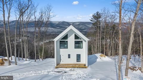 4039 SUPINLICK RIDGE RD MOUNT JACKSON VA 22842