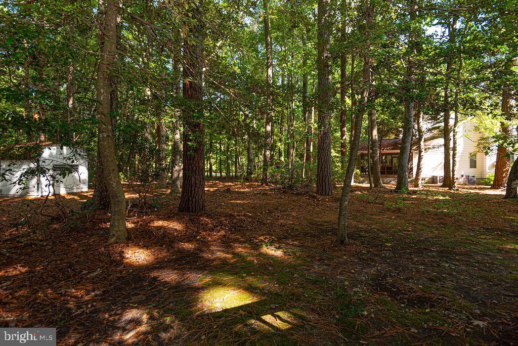 OCEAN PINES - BRAMBLEWOOD - Residential