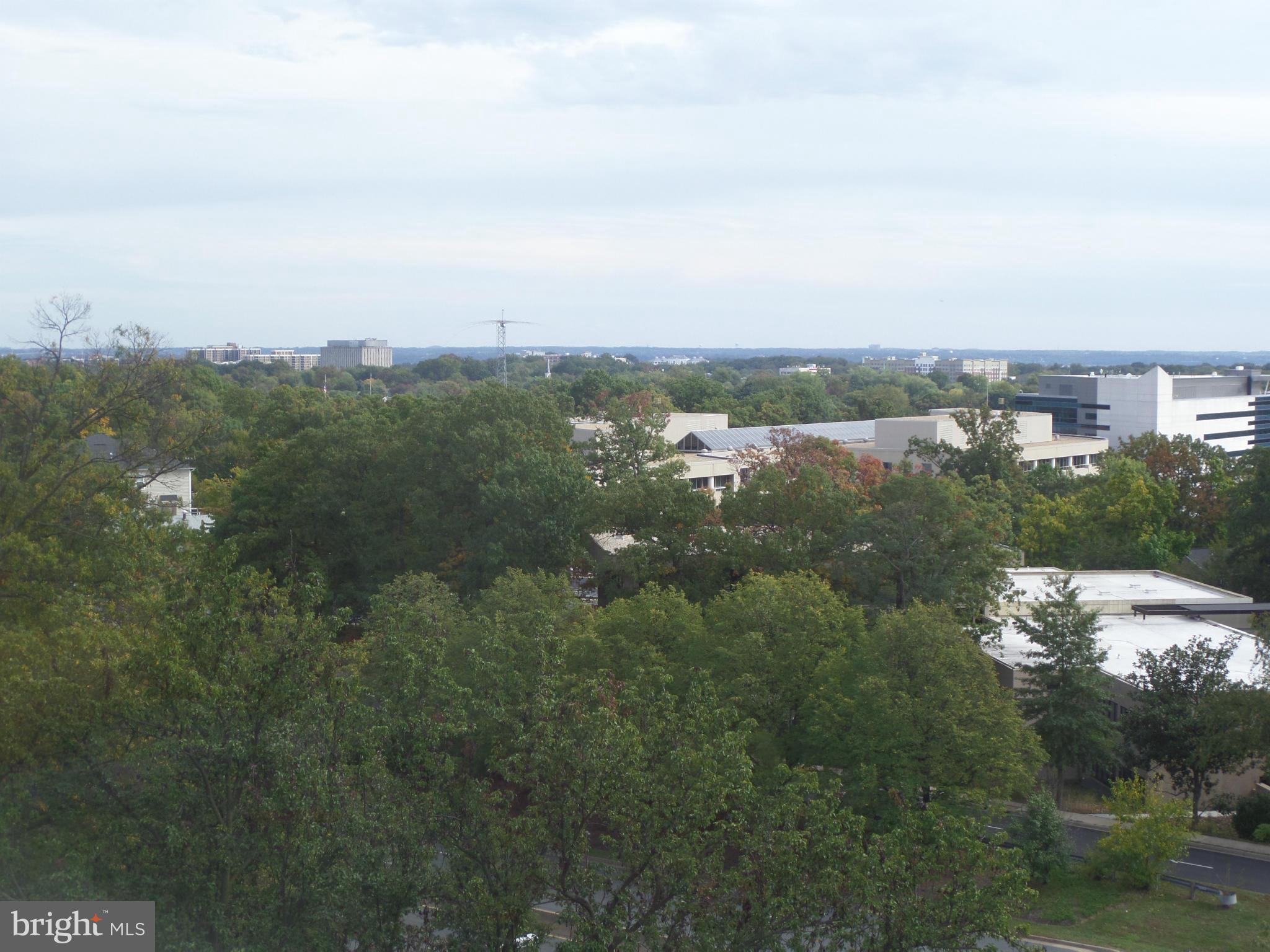 THE CHATHAM - Residential Lease