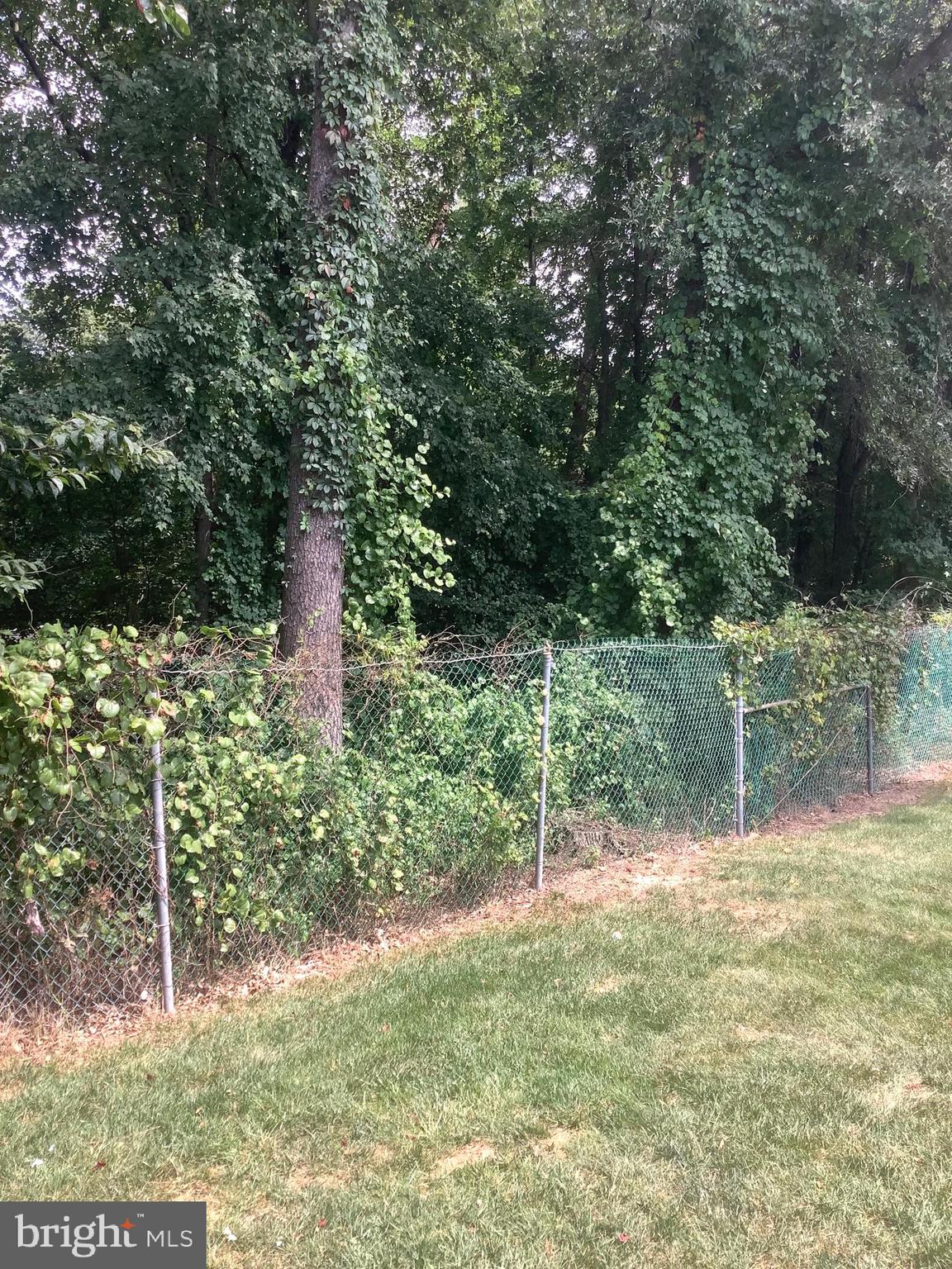 LAUREL OAKS CONDO - Residential Lease