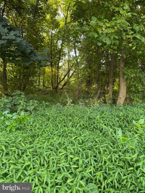 Lot 12 EDGEWOOD CIRCLE