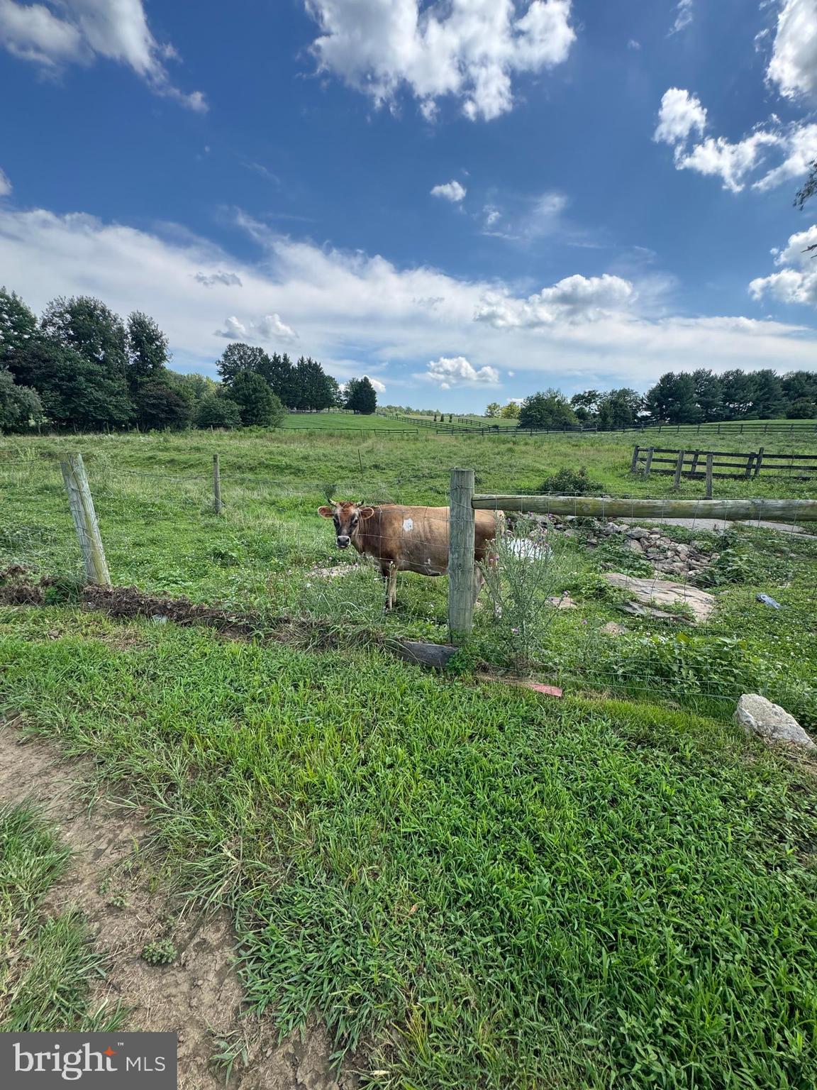 GOOSE CREEK RIDGE - Residential