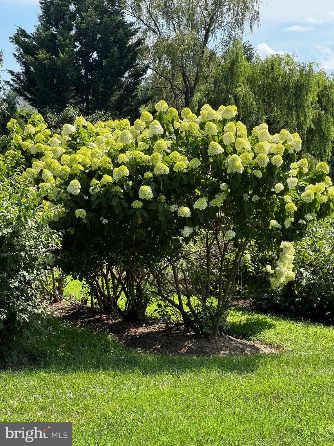 GOOSE CREEK RIDGE - Residential