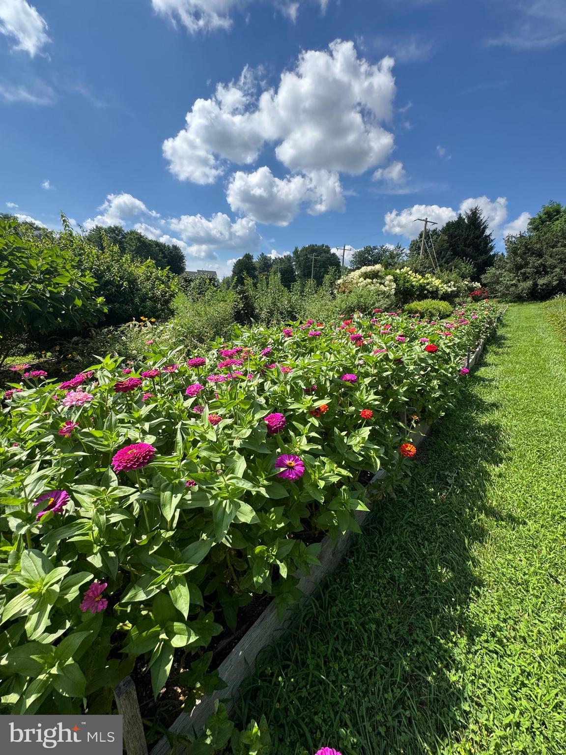 GOOSE CREEK RIDGE - Residential