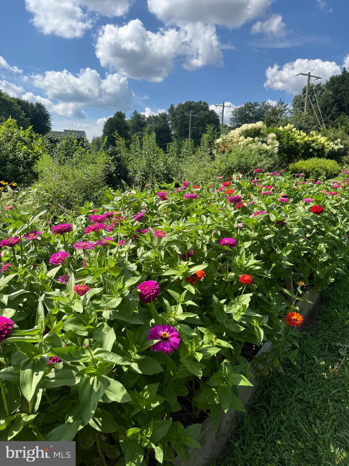 GOOSE CREEK RIDGE - Residential