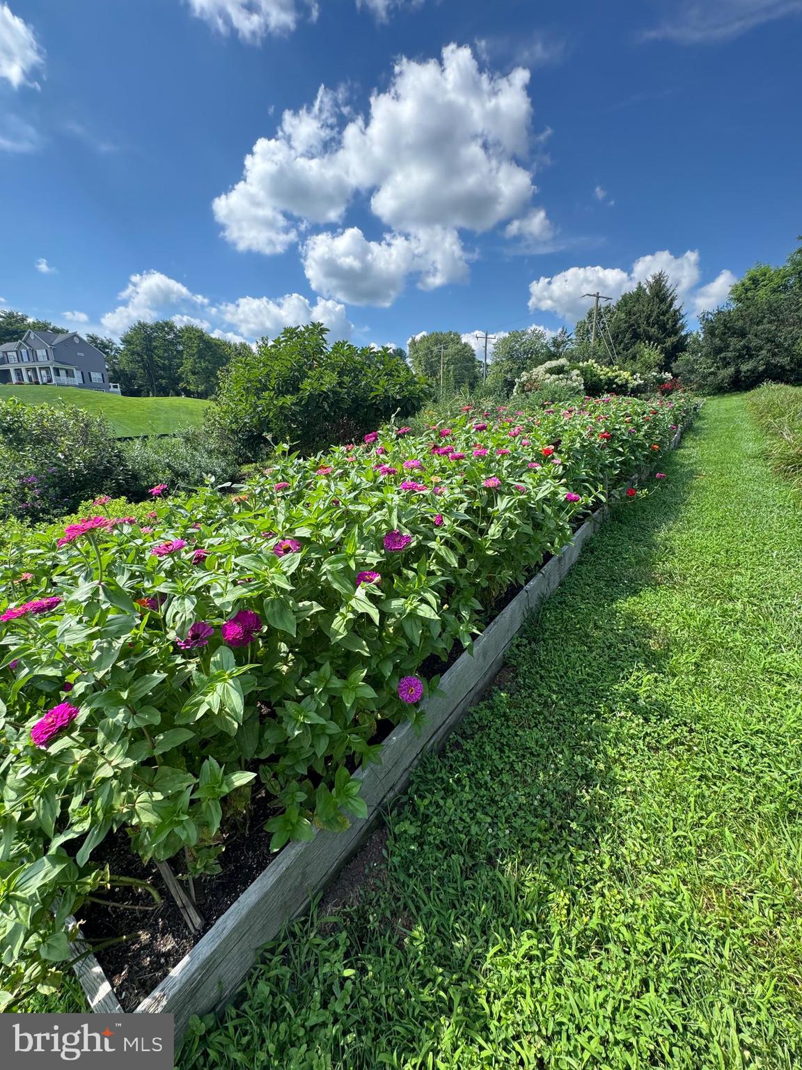 GOOSE CREEK RIDGE - Residential