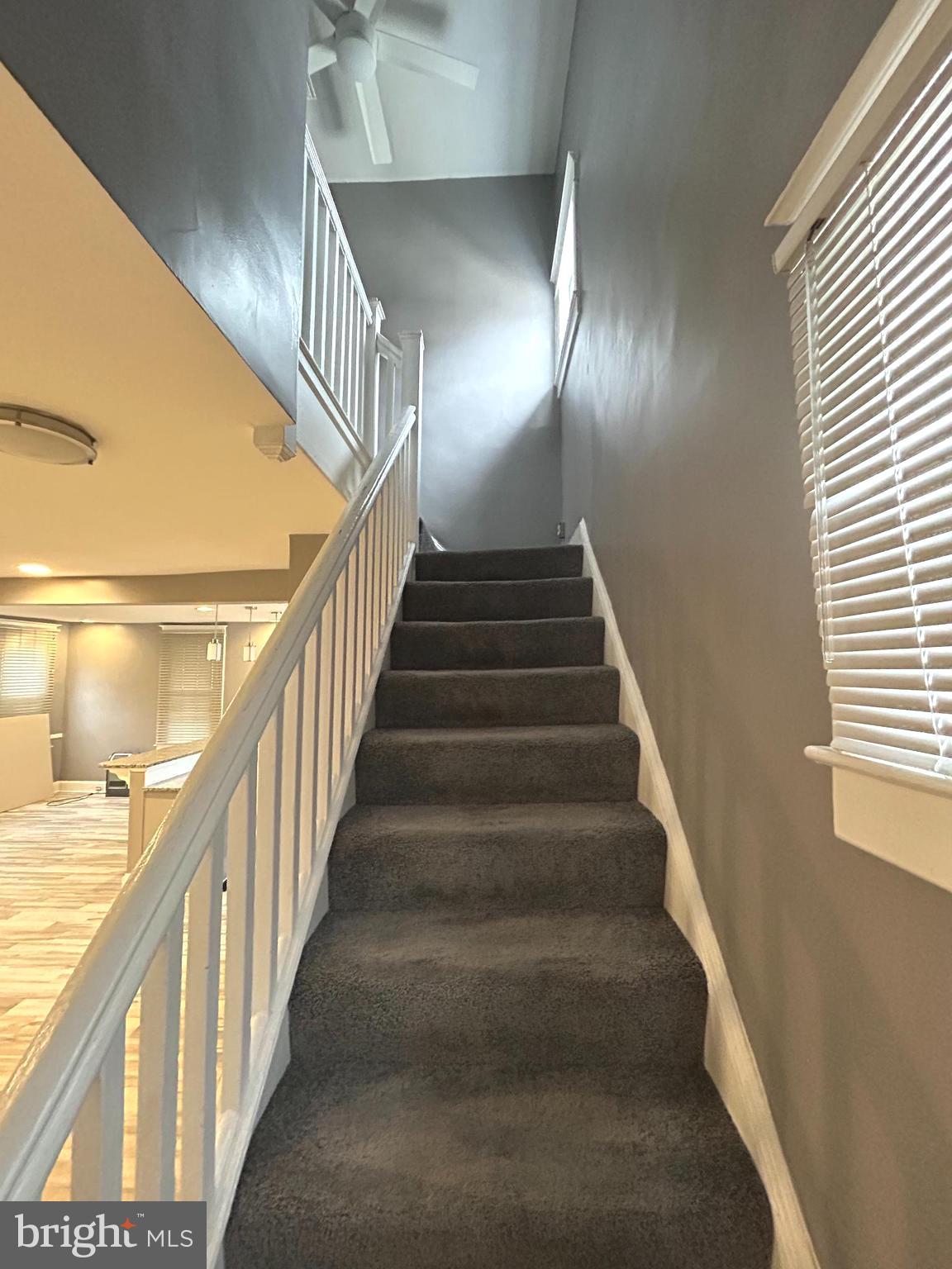 DOLFIELD - Residential