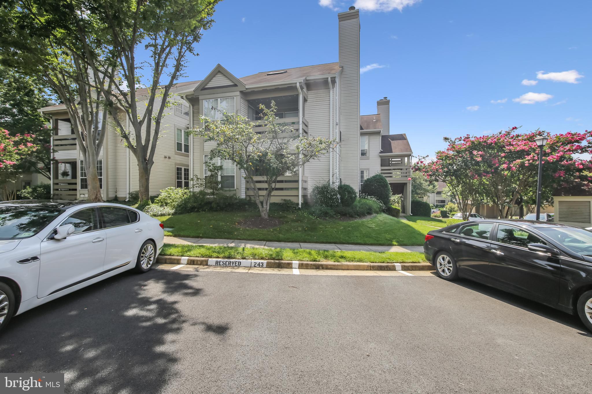 CARR AT PINECREST - Residential