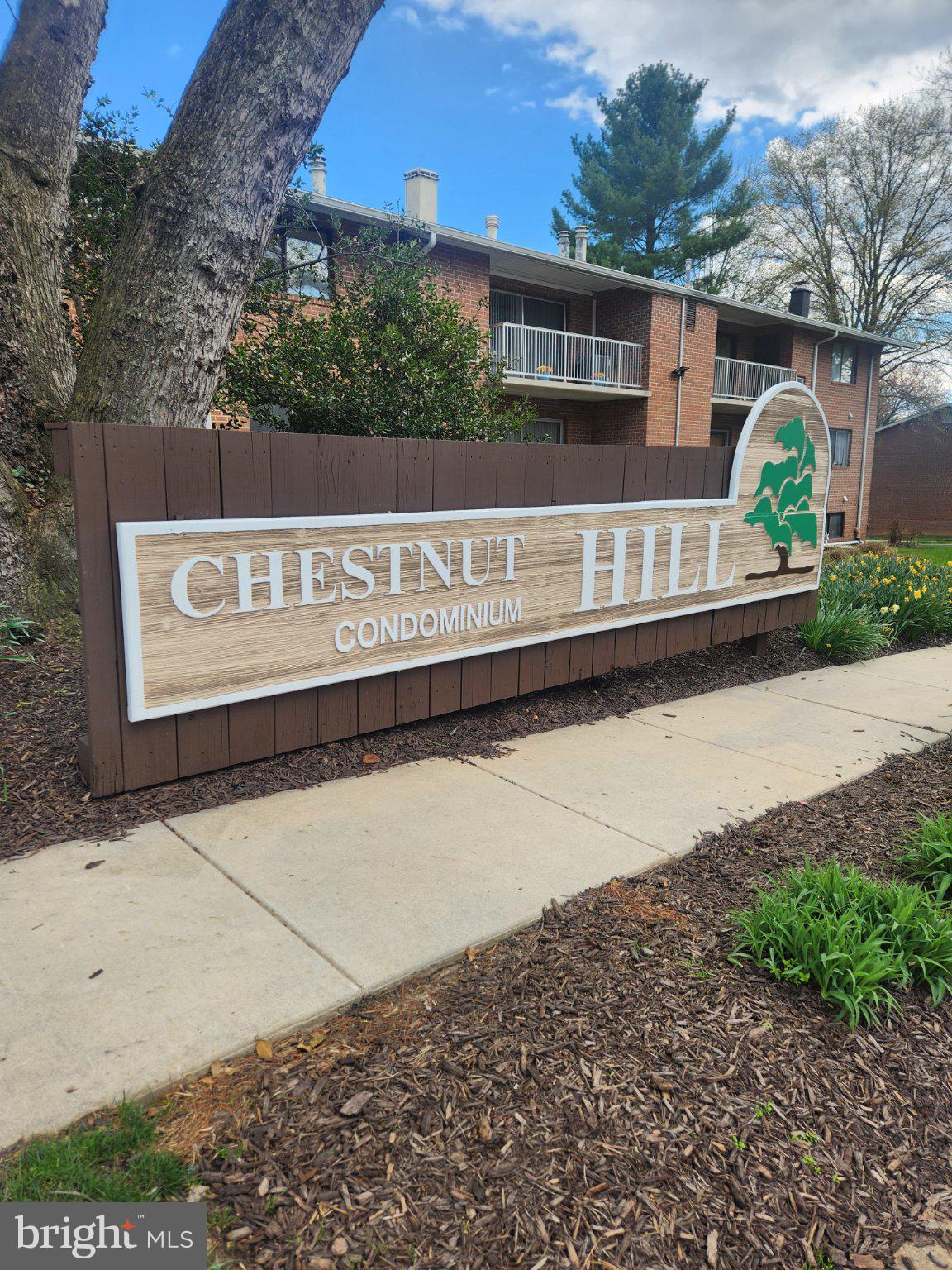 CHESTNUT HILL - Residential