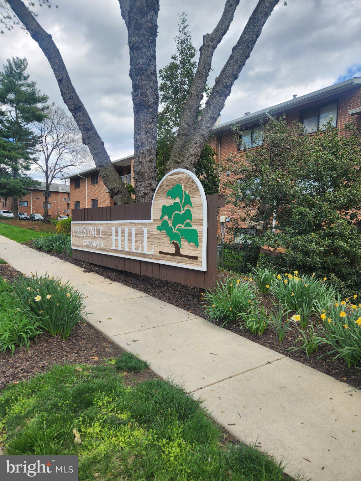 CHESTNUT HILL - Residential