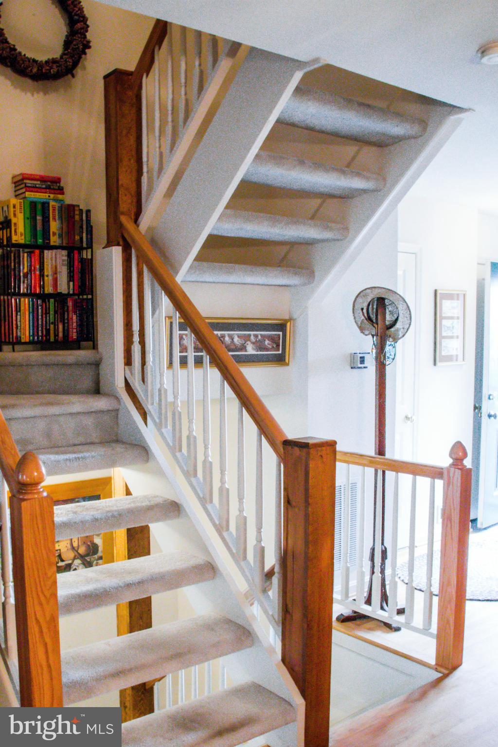 HENSON PARK - Residential