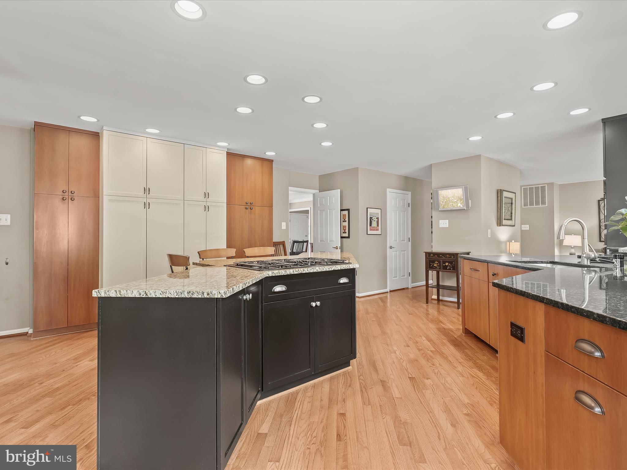 VILLAGE OF HICKORY RIDGE - Residential