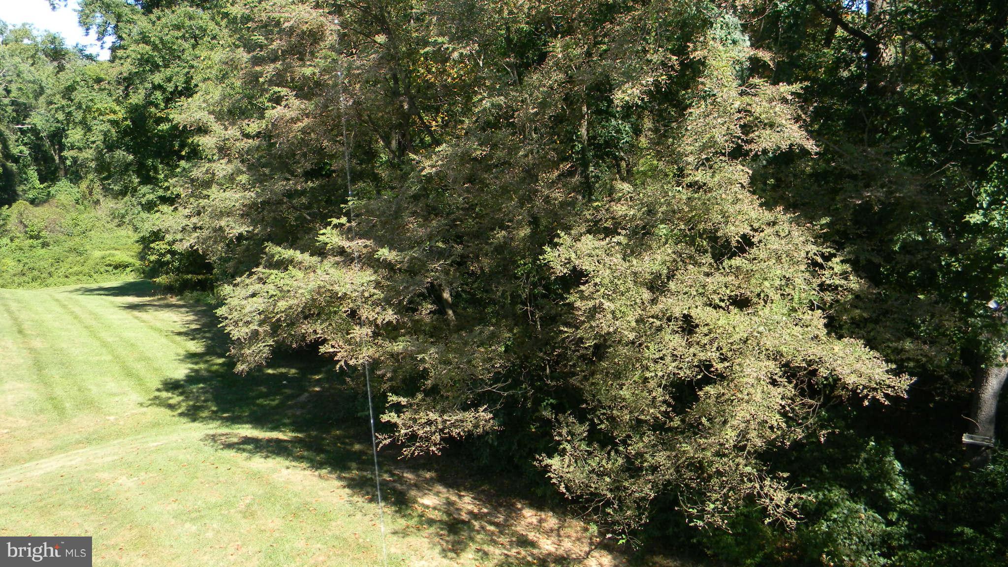 RIVERSIDE PARK - Residential