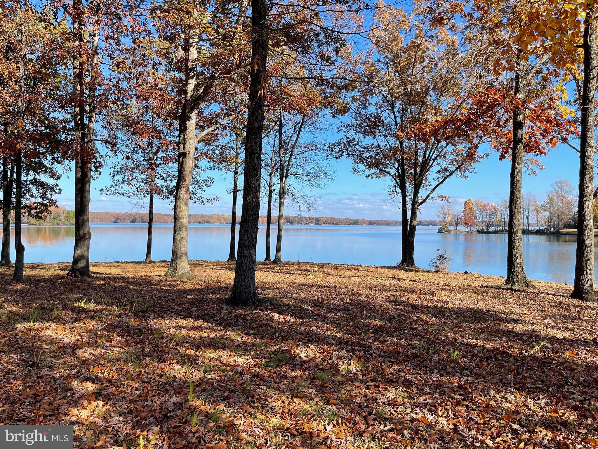 BEAR CASTLE - Residential