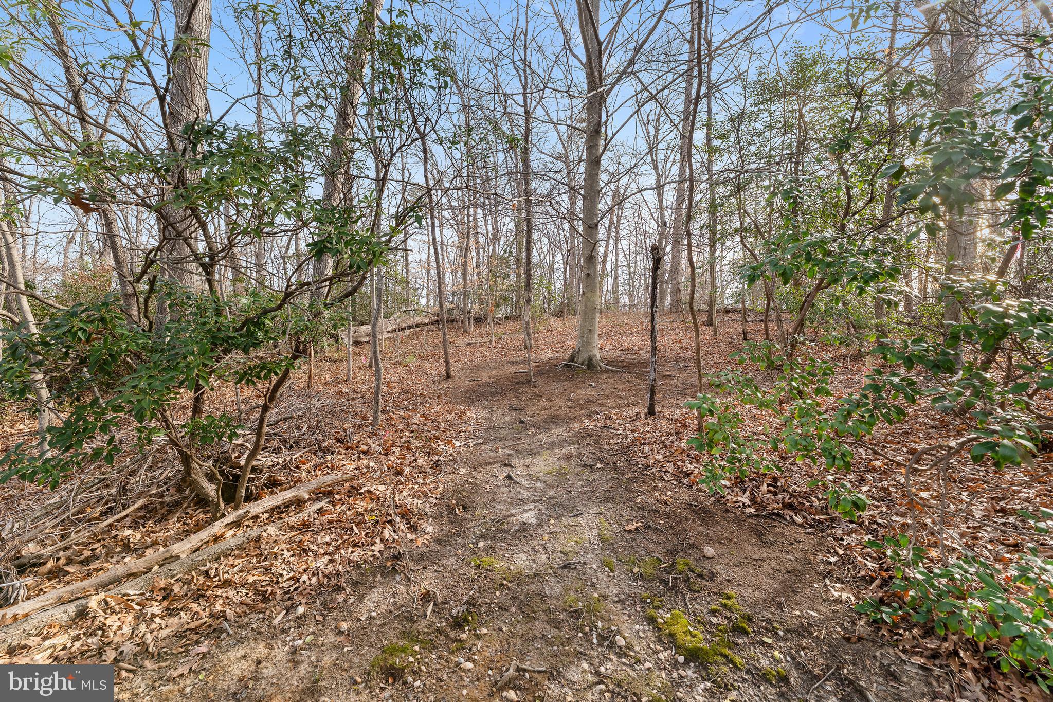 BRAEHEAD WOODS - Residential