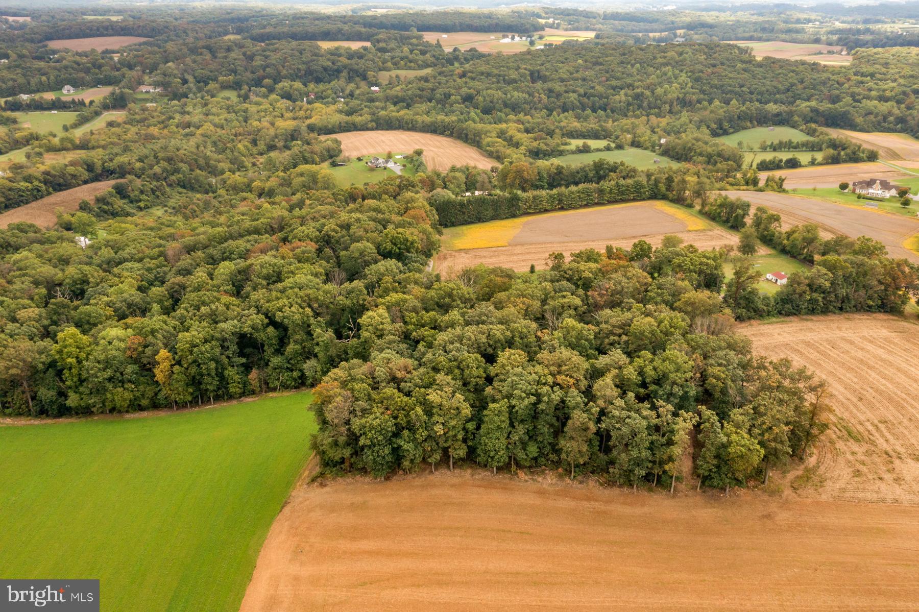MANCHESTER ELECTION DISTRICT - Farm