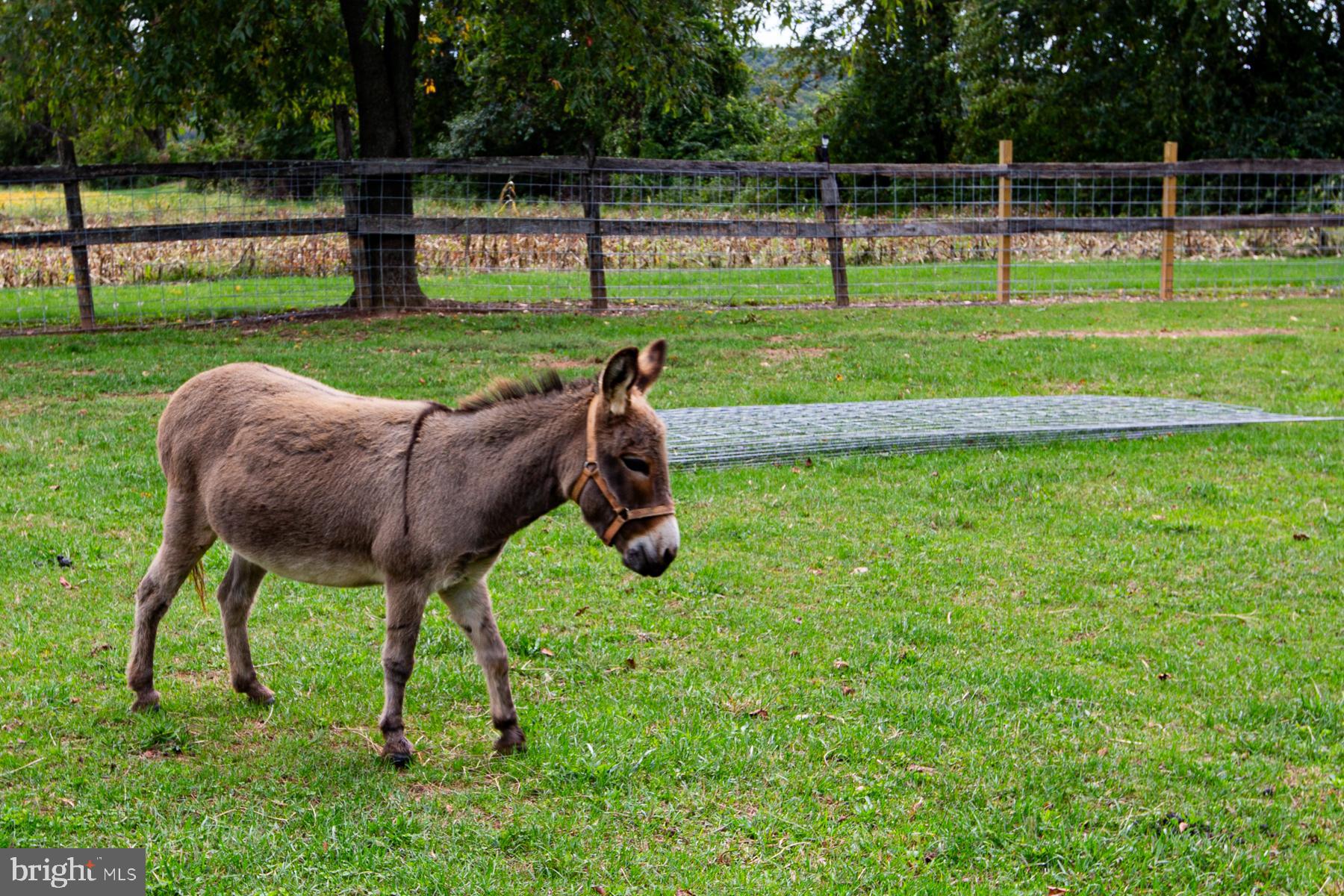 MANCHESTER ELECTION DISTRICT - Farm