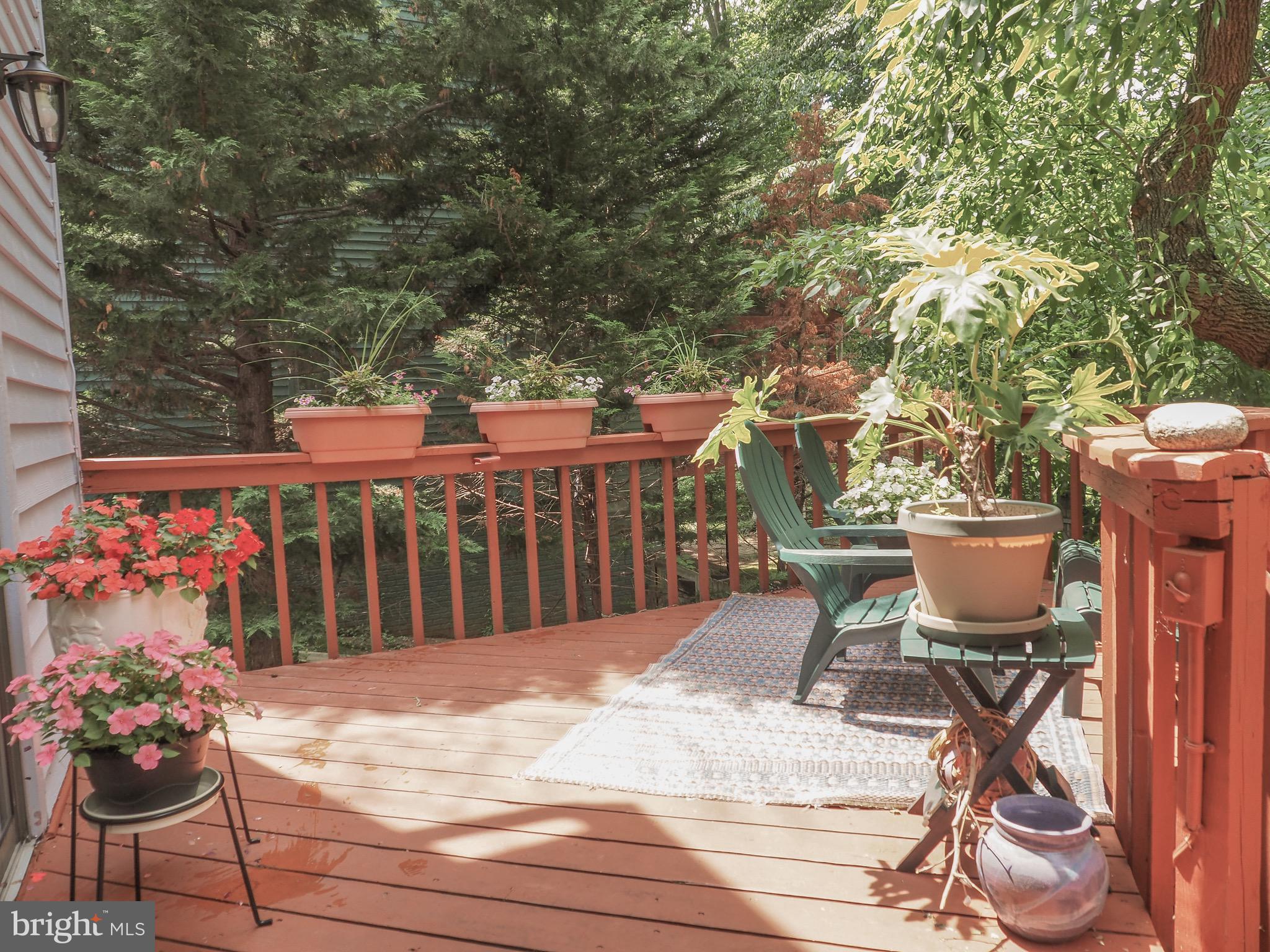 GEORGETOWN GROVE - Residential