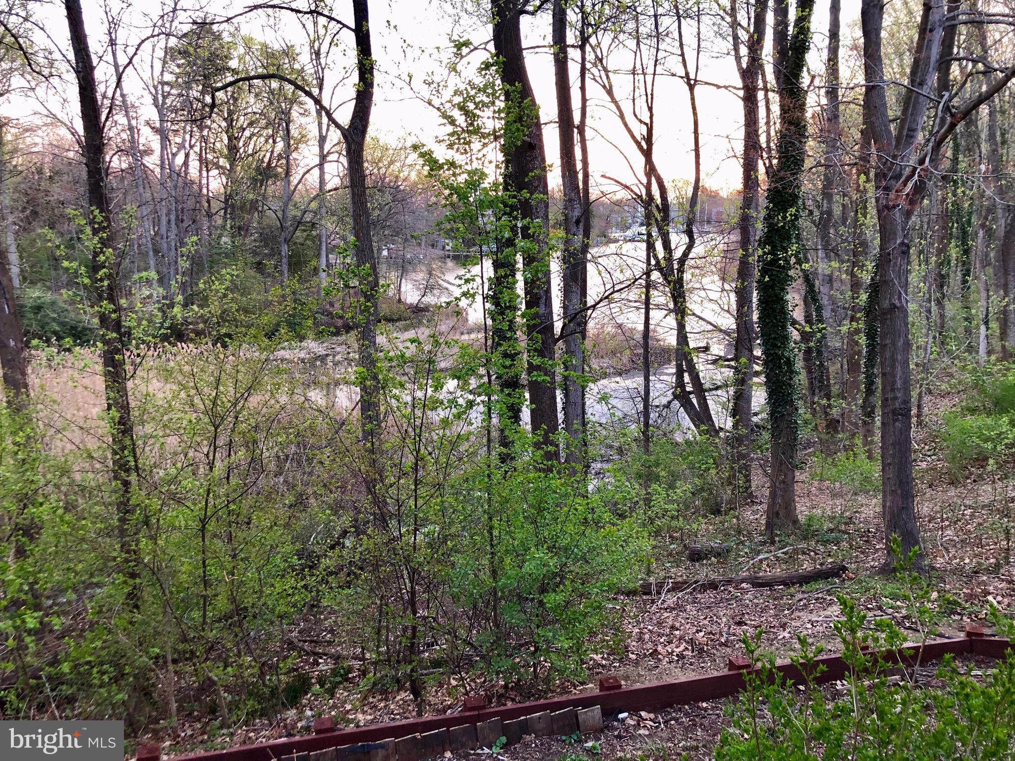 GEORGETOWN GROVE - Residential