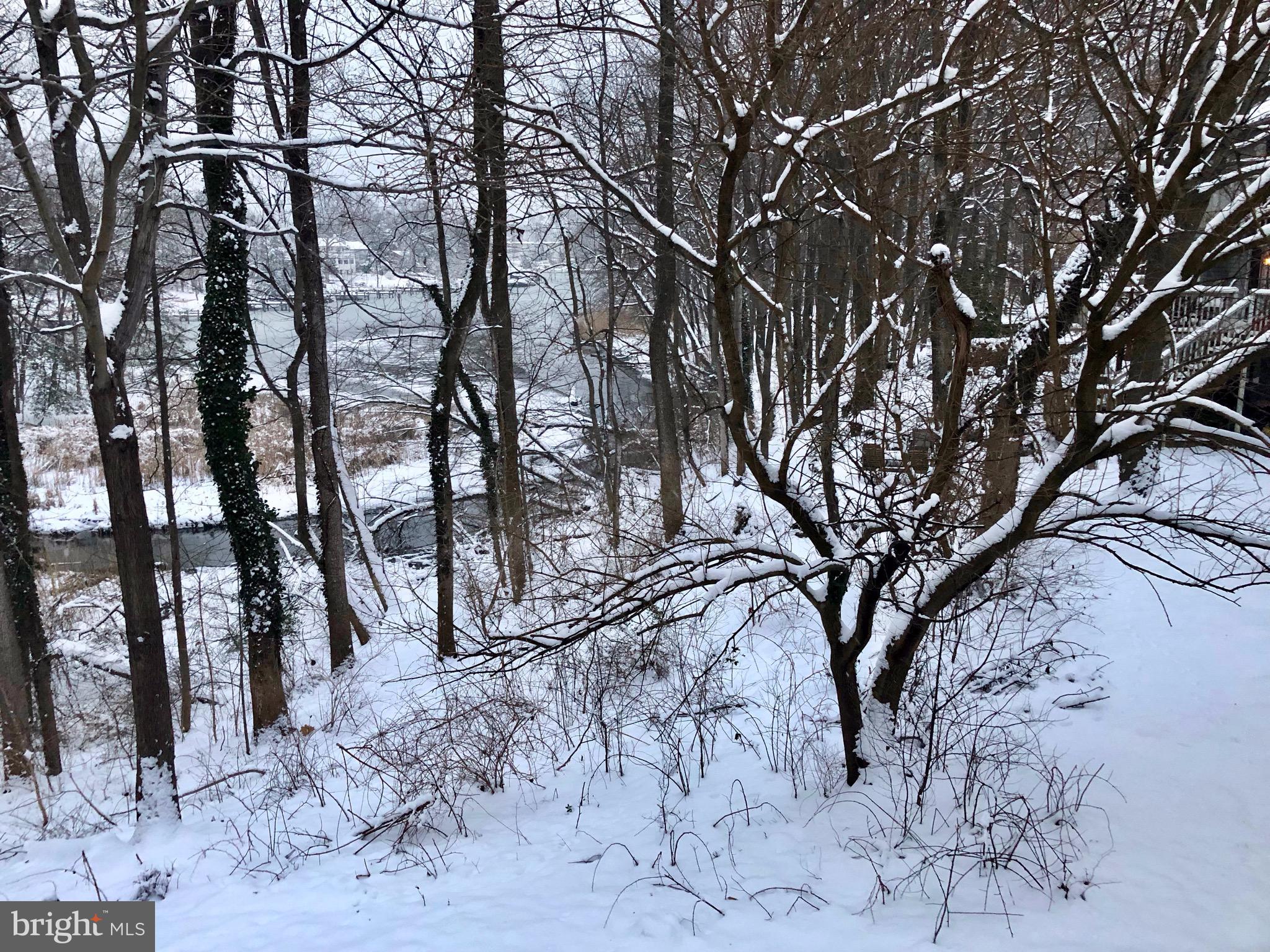 GEORGETOWN GROVE - Residential