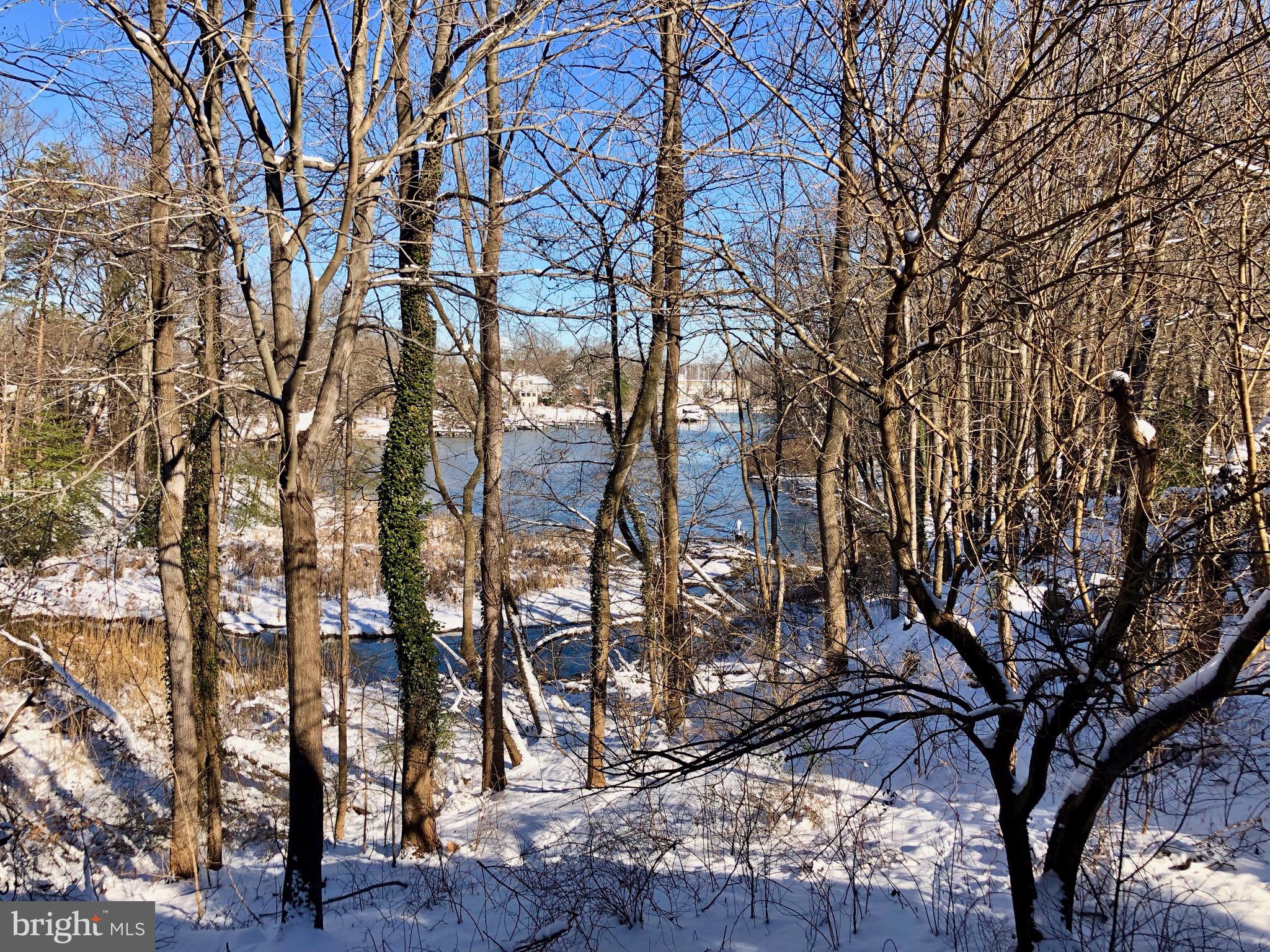 GEORGETOWN GROVE - Residential