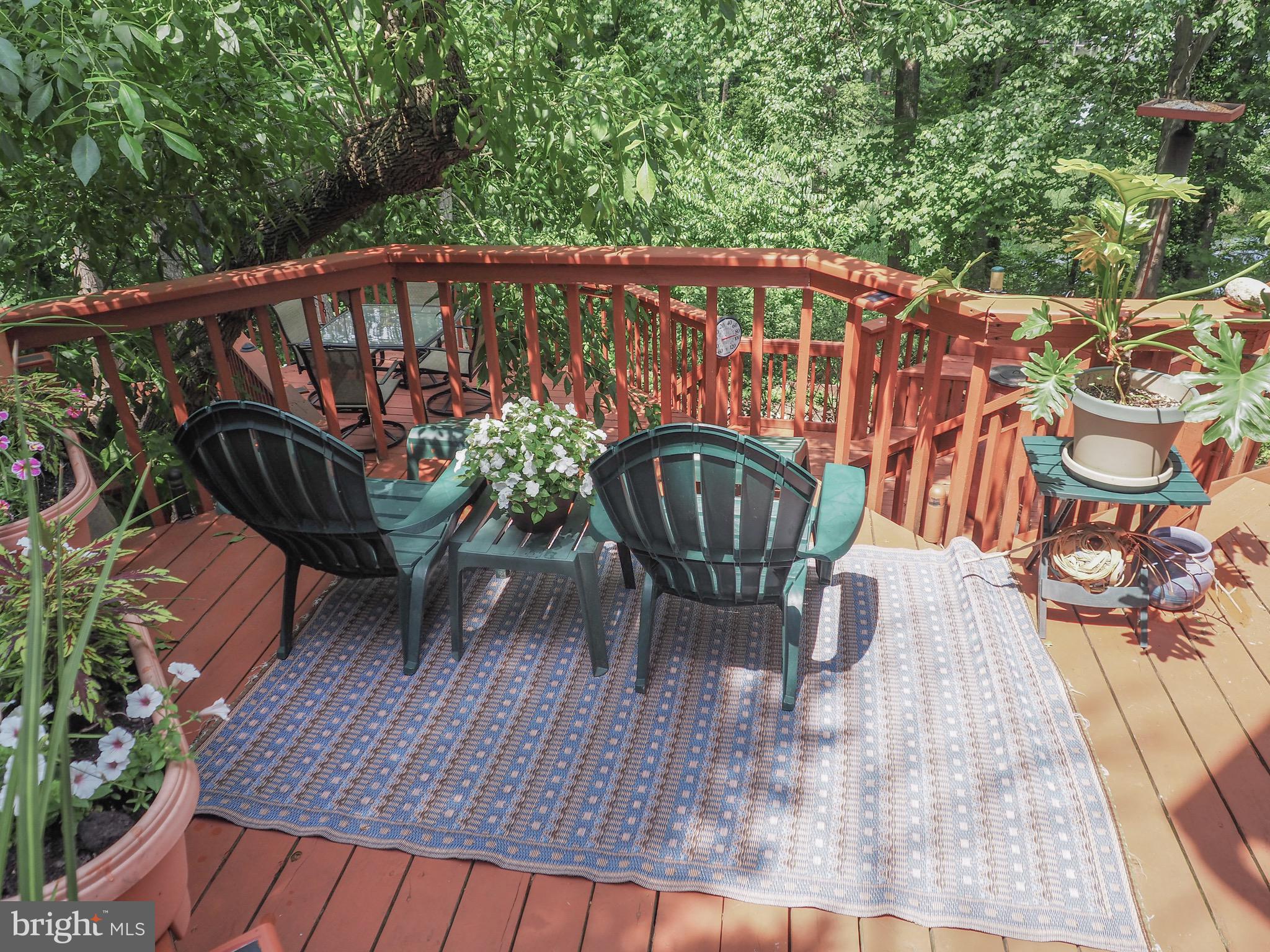 GEORGETOWN GROVE - Residential