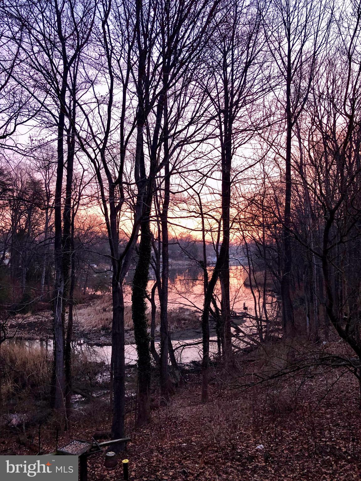 GEORGETOWN GROVE - Residential