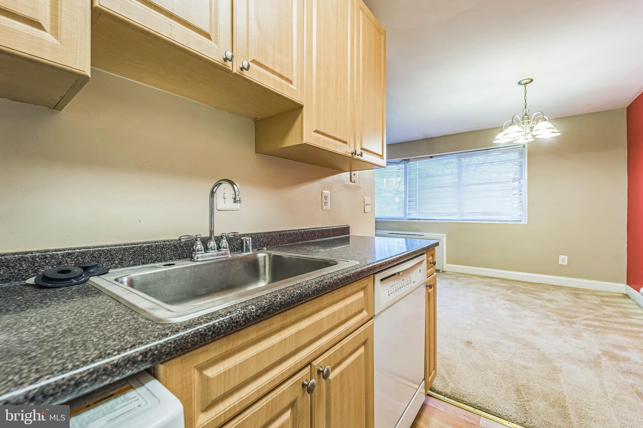 1009 CHILLUM ROAD 216