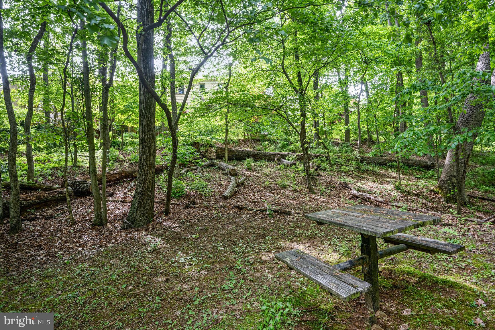 CHADSBERRY - Residential