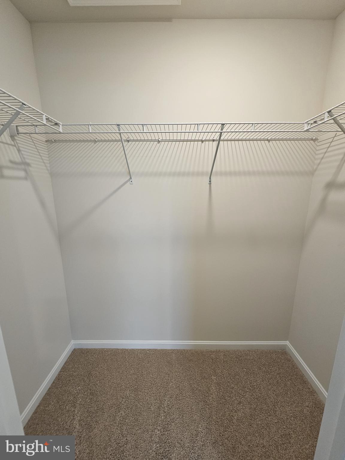 SASSAFRAS MEADOWS - Residential Lease