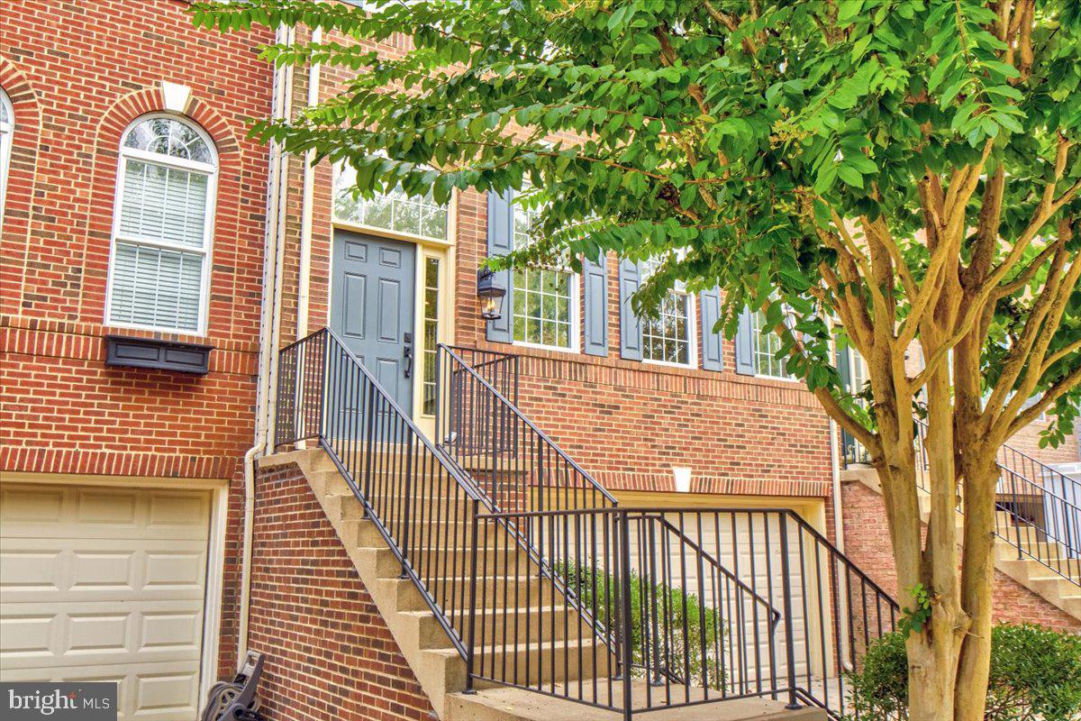 ELMWOOD - Residential