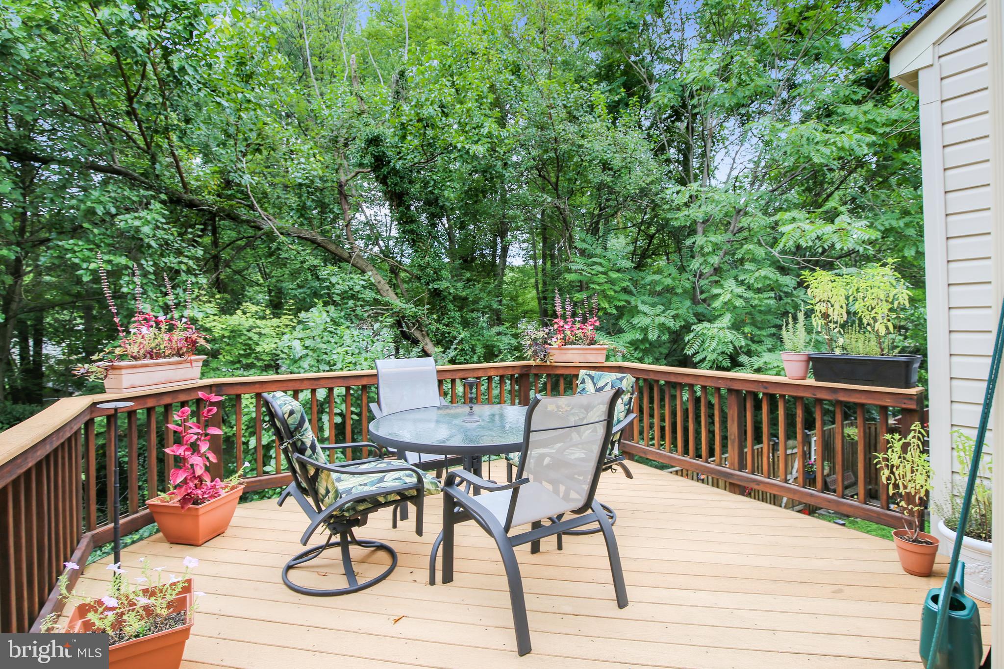 ELMWOOD - Residential